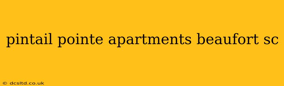 pintail pointe apartments beaufort sc