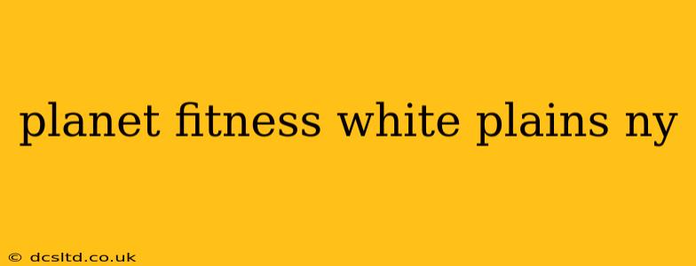 planet fitness white plains ny