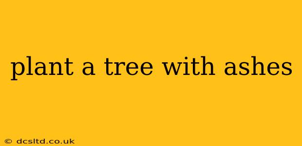 plant a tree with ashes