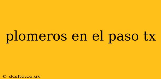 plomeros en el paso tx