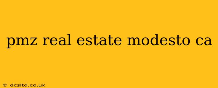 pmz real estate modesto ca