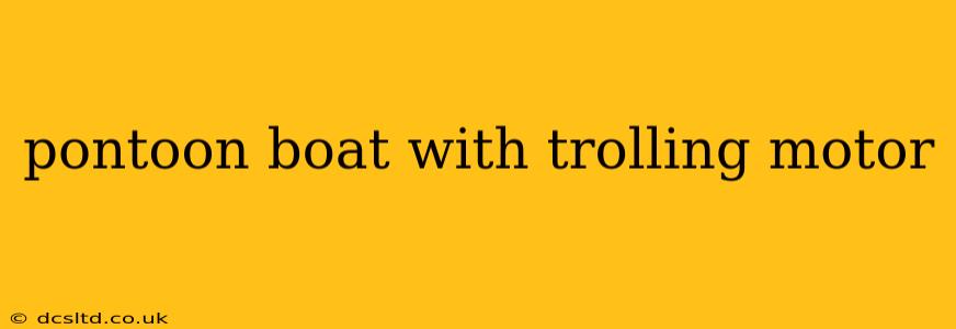 pontoon boat with trolling motor
