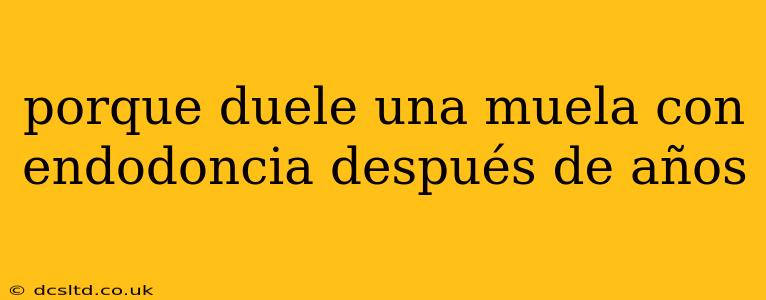 porque duele una muela con endodoncia después de años
