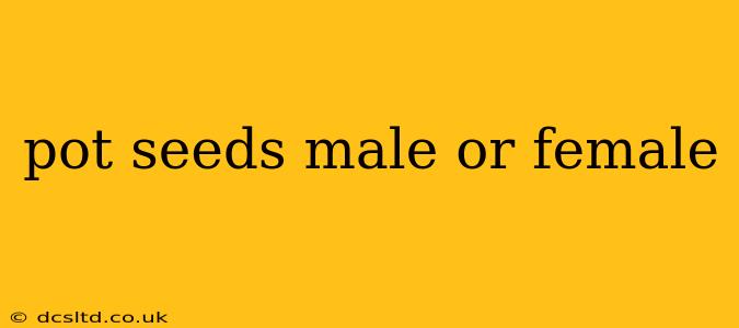 pot seeds male or female