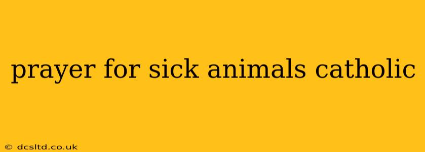 prayer for sick animals catholic