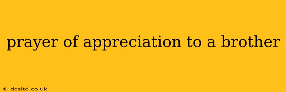 prayer of appreciation to a brother