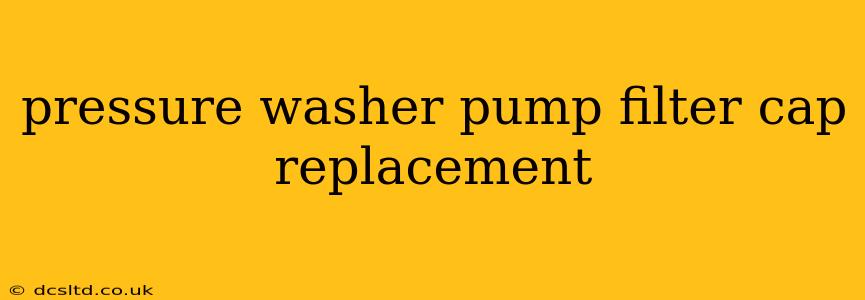 pressure washer pump filter cap replacement