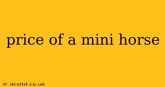 price of a mini horse