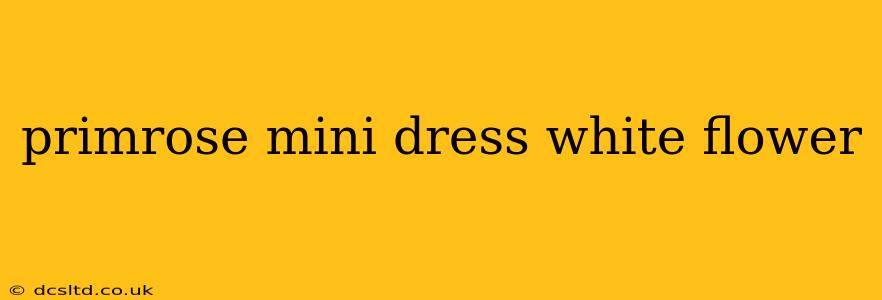 primrose mini dress white flower