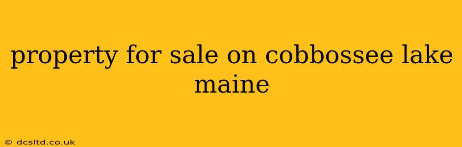 property for sale on cobbossee lake maine