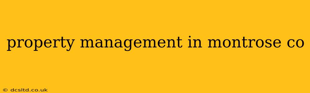 property management in montrose co