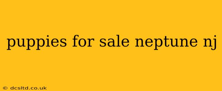 puppies for sale neptune nj