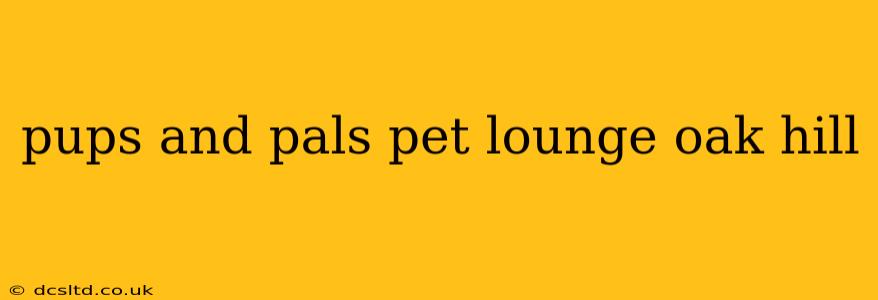 pups and pals pet lounge oak hill