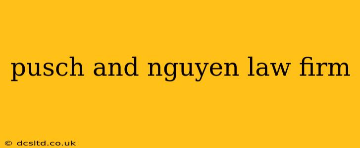 pusch and nguyen law firm