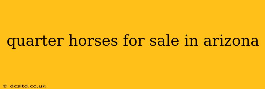 quarter horses for sale in arizona