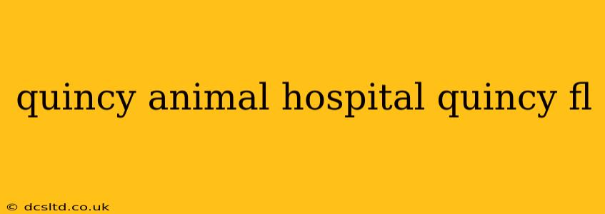quincy animal hospital quincy fl