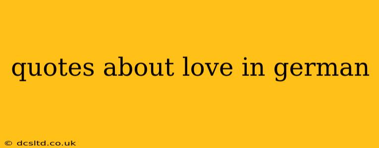 quotes about love in german
