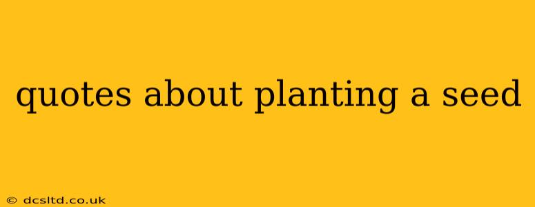 quotes about planting a seed