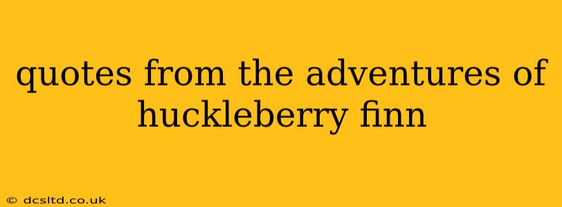 quotes from the adventures of huckleberry finn