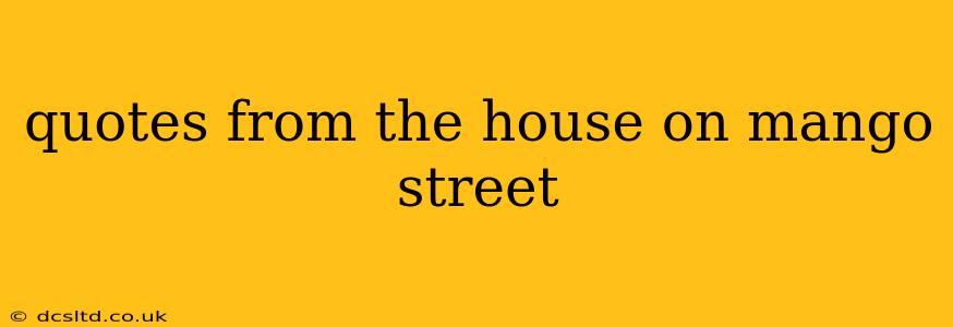 quotes from the house on mango street