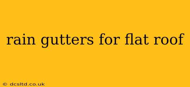 rain gutters for flat roof