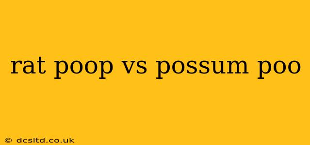rat poop vs possum poo