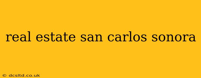 real estate san carlos sonora