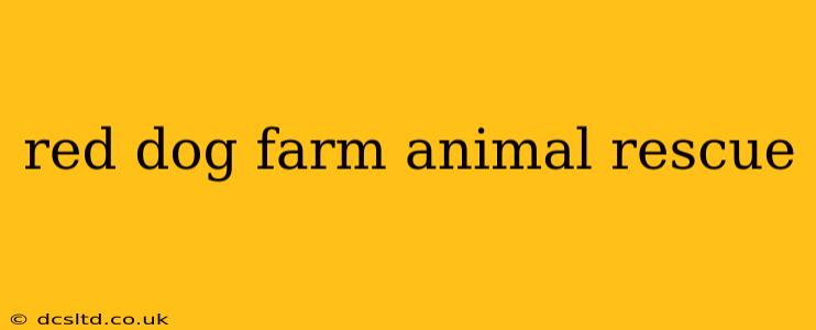 red dog farm animal rescue