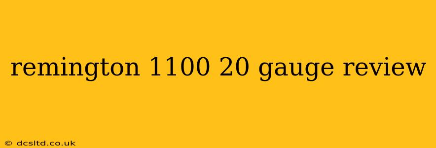 remington 1100 20 gauge review