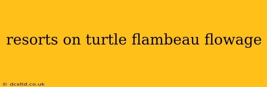 resorts on turtle flambeau flowage