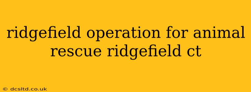 ridgefield operation for animal rescue ridgefield ct