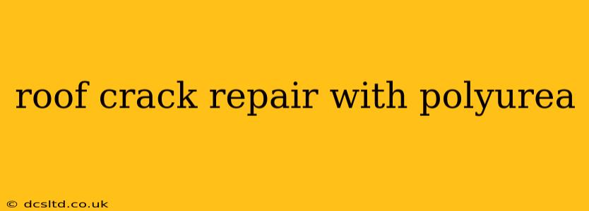 roof crack repair with polyurea