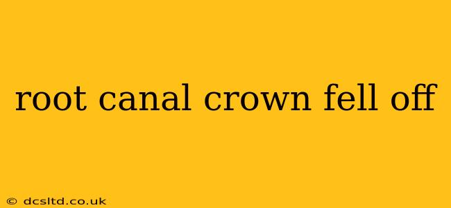 root canal crown fell off