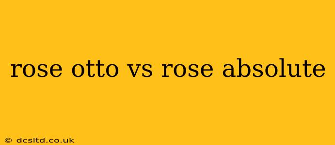 rose otto vs rose absolute