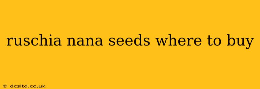 ruschia nana seeds where to buy