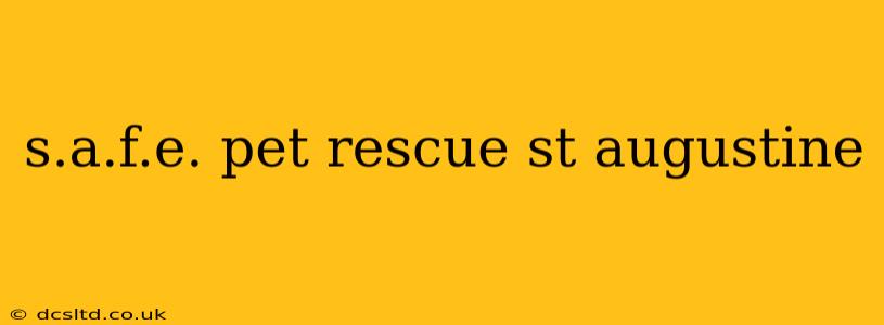 s.a.f.e. pet rescue st augustine
