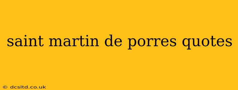 saint martin de porres quotes