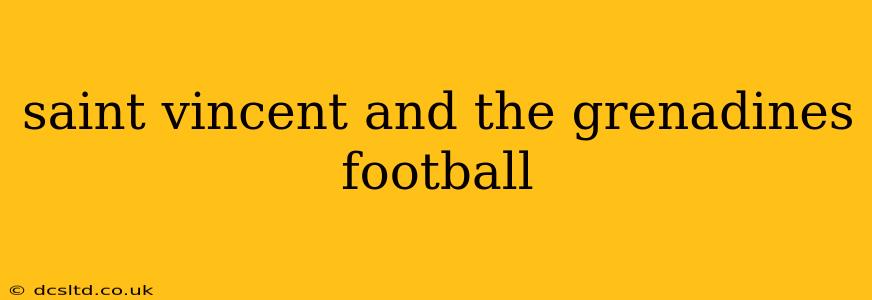 saint vincent and the grenadines football