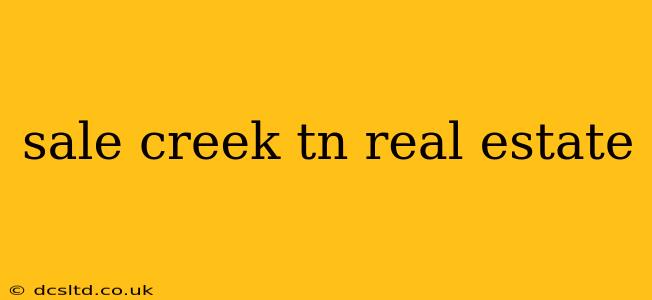 sale creek tn real estate