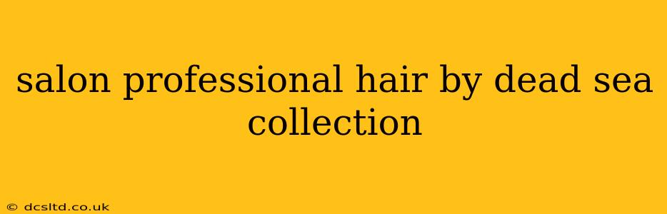 salon professional hair by dead sea collection