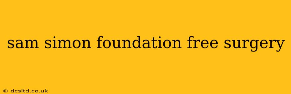 sam simon foundation free surgery