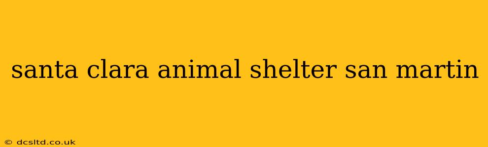 santa clara animal shelter san martin