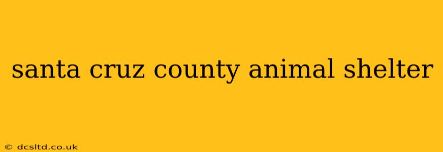 santa cruz county animal shelter