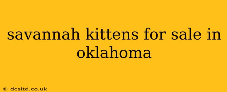 savannah kittens for sale in oklahoma