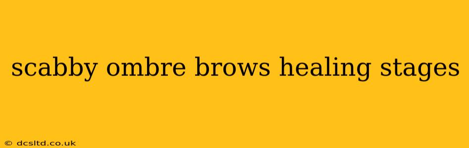 scabby ombre brows healing stages
