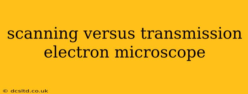 scanning versus transmission electron microscope