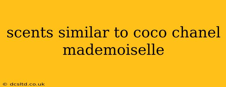 scents similar to coco chanel mademoiselle