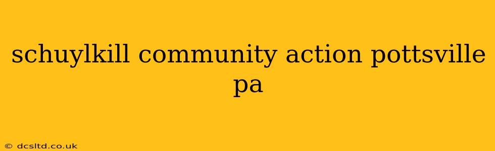 schuylkill community action pottsville pa
