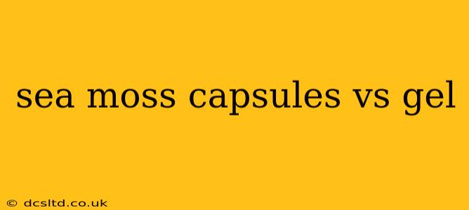 sea moss capsules vs gel