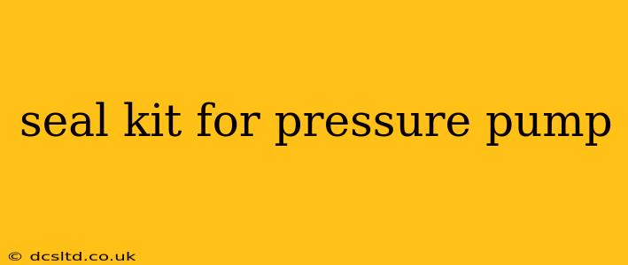 seal kit for pressure pump